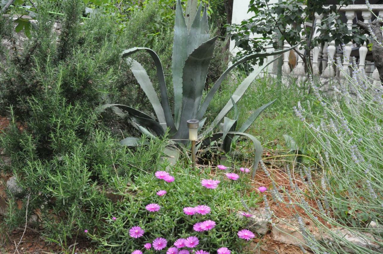 PUY Olivera Apartments מראה חיצוני תמונה