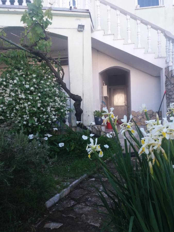 PUY Olivera Apartments מראה חיצוני תמונה